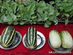 娱乐吃瓜的地方,那些你不知道的“吃瓜”幕后故事