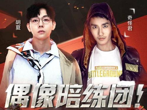 娱乐吃瓜君121期,揭秘娱乐圈最新热点，带你领略明星幕后故事