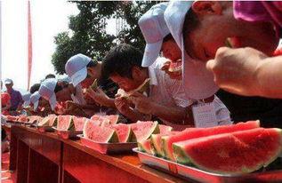 趣味吃瓜比赛视频,一场舌尖上的欢乐盛宴