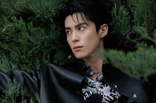 王鹤棣娱乐大爆料吃瓜,揭秘娱乐圈背后的秘密与真相