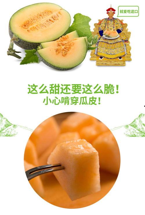 娱乐吃瓜营销号推荐